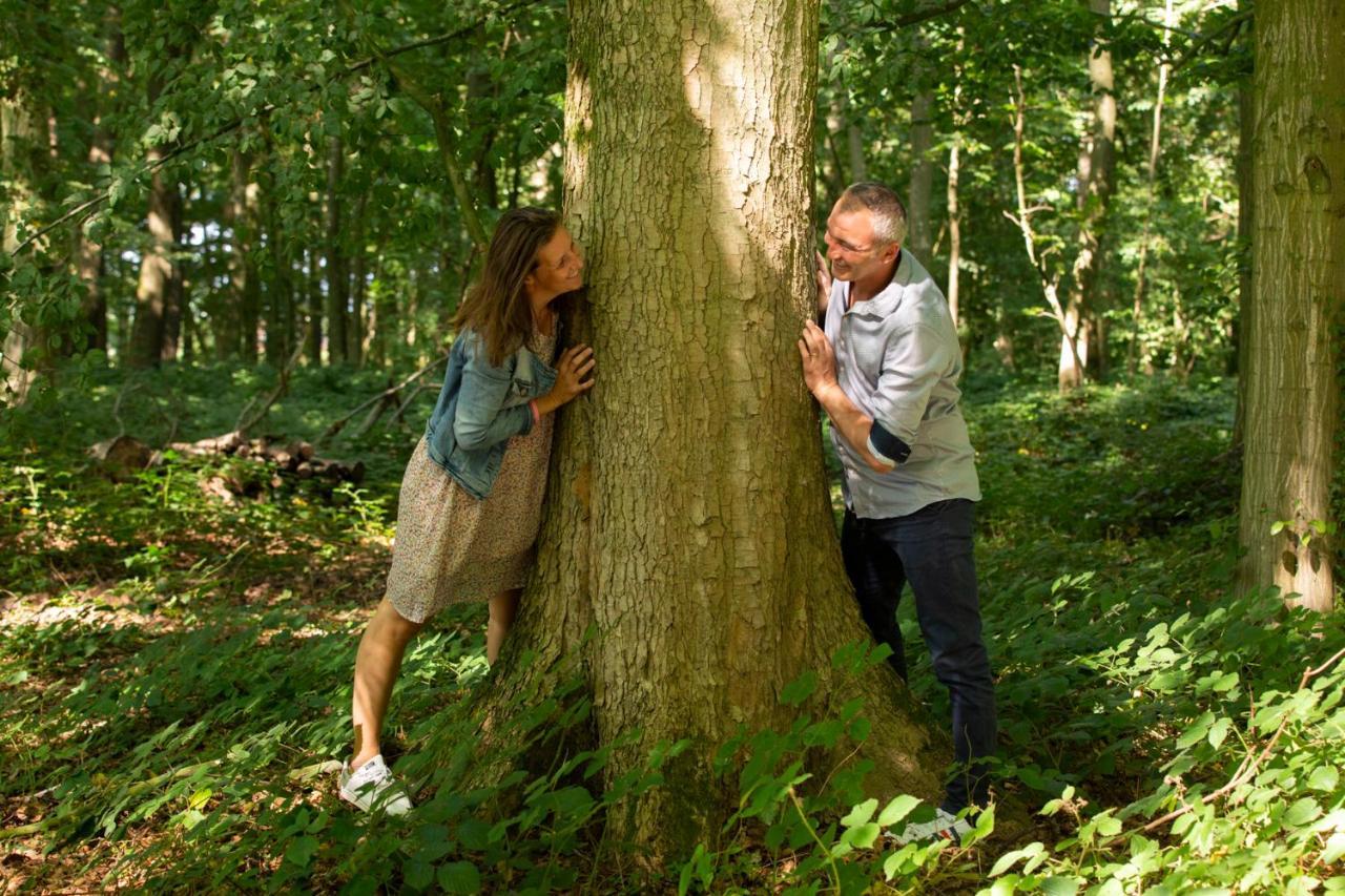 Aux Petits Lapins de Sorval, sauna privé, fitness Selvigny Exterior foto